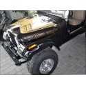 Ensemble décor Golden Eagle AMC Jeep blanc-or Jeep CJ 77 - 80