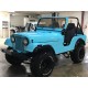 CJ 5 1975 de Cédric , " je veux me marier en Jeep"