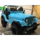 CJ 5 1975 de Cédric , " je veux me marier en Jeep"