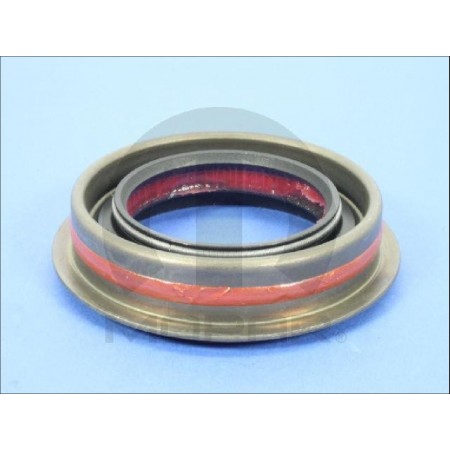 Joint de nez de pont Chrysler 9.25 Dodge Ram 2000-2018