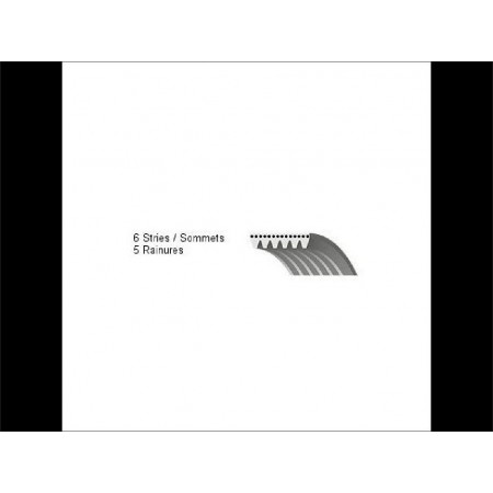 Courroie plate 2.8 L Diesel sans clim poly-V Jeep JK 2007-2011