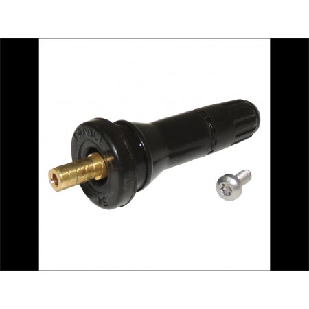 Embout de valve Jeep Dodge Ram 