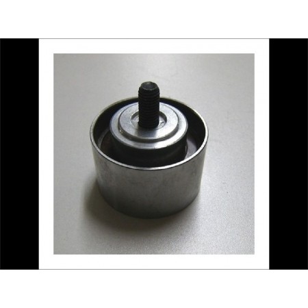 Galet Tendeur de courroie fixe Jeep WRANGLER TJ 2003-2006