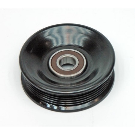 Poulie de renvoi, 2.5-L., TJ, 