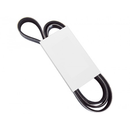 Courroie plate, 4.2-L. sans clim YJ, 