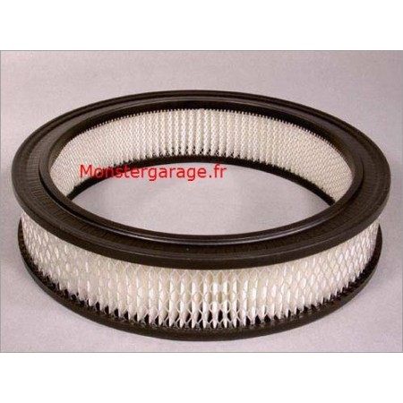 Filtre à air, 4,2-L,, YJ, SJ