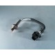 Sonde a oxygene, 2.5-L. en aval du pot catalytique TJ, 96-99