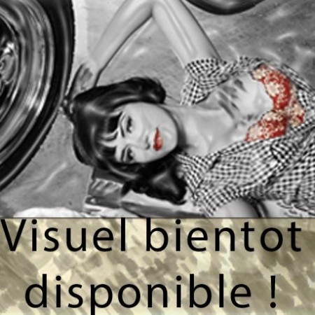 Boîte de transfert NP 249, Joint torique