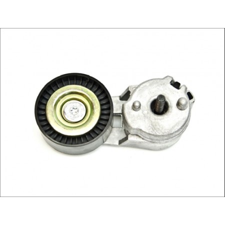 Tendeur de courroie 4.0 L TJ 2000 a 2006